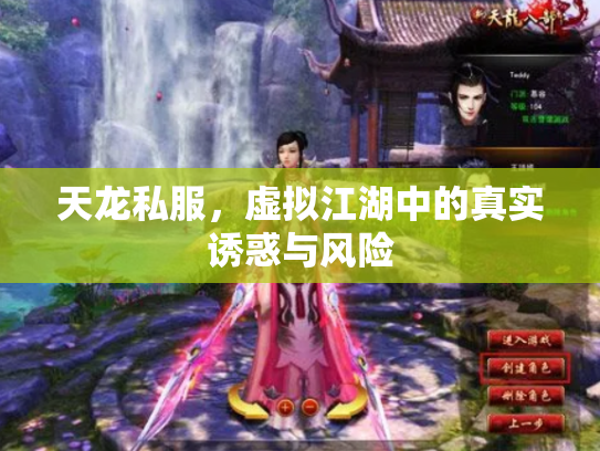 天龙私服，虚拟江湖中的真实诱惑与风险