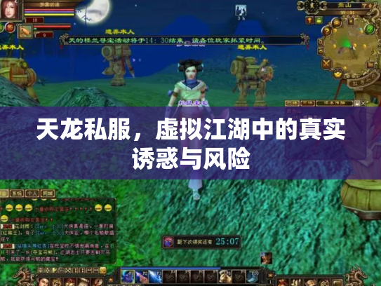 天龙私服，虚拟江湖中的真实诱惑与风险