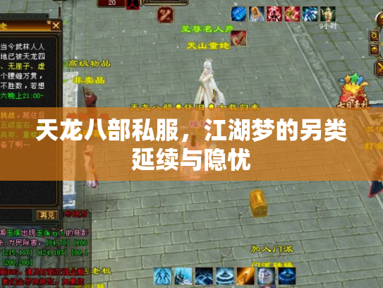 天龙八部私服，江湖梦的另类延续与隐忧