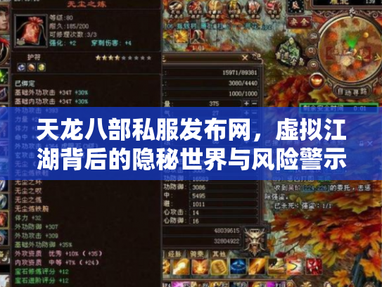 天龙八部私服发布网，虚拟江湖背后的隐秘世界与风险警示