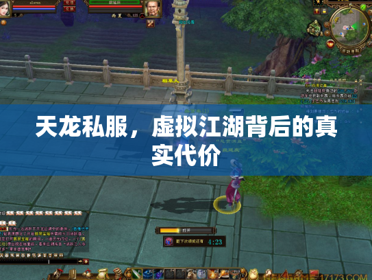 天龙私服，虚拟江湖背后的真实代价