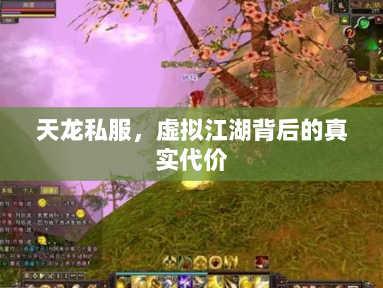 天龙私服，虚拟江湖背后的真实代价