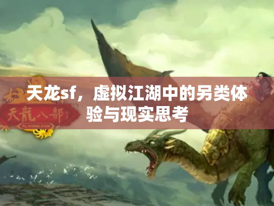 天龙sf，虚拟江湖中的另类体验与现实思考