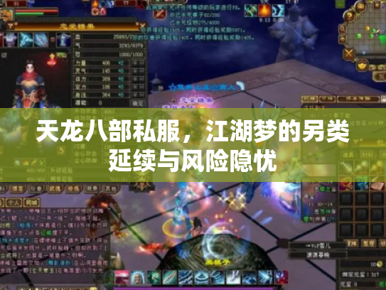 天龙八部私服，江湖梦的另类延续与风险隐忧