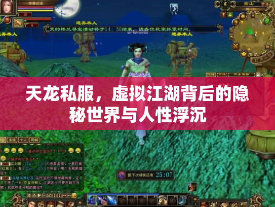 天龙私服，虚拟江湖背后的隐秘世界与人性浮沉