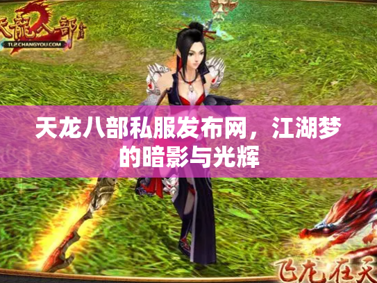 天龙八部私服发布网，江湖梦的暗影与光辉
