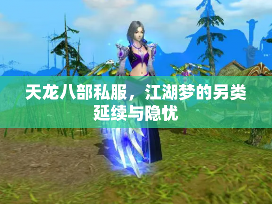 天龙八部私服，江湖梦的另类延续与隐忧