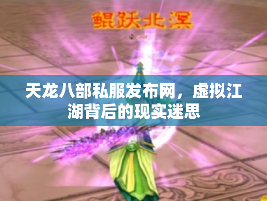 天龙八部私服发布网，虚拟江湖背后的现实迷思