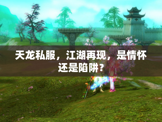 天龙私服，江湖再现，是情怀还是陷阱？