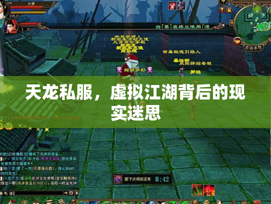 天龙私服，虚拟江湖背后的现实迷思