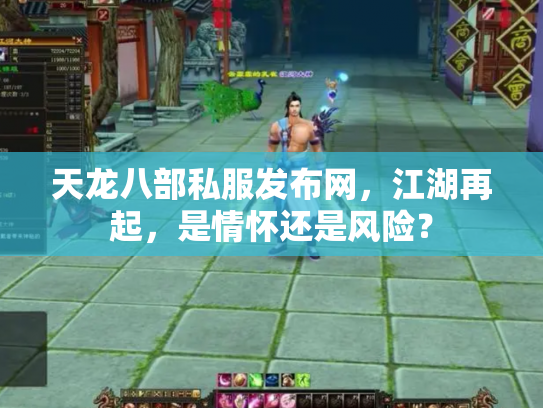 天龙八部私服发布网，江湖再起，是情怀还是风险？