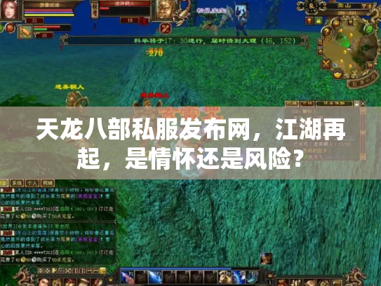 天龙八部私服发布网，江湖再起，是情怀还是风险？
