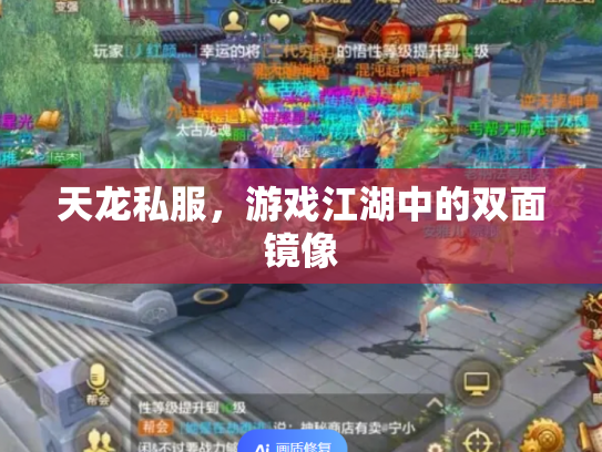 天龙私服，游戏江湖中的双面镜像
