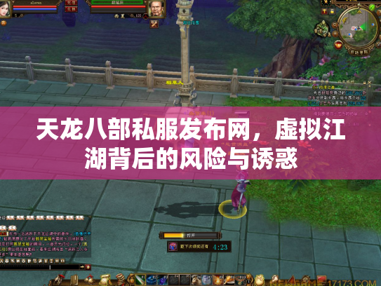 天龙八部私服发布网，虚拟江湖背后的风险与诱惑