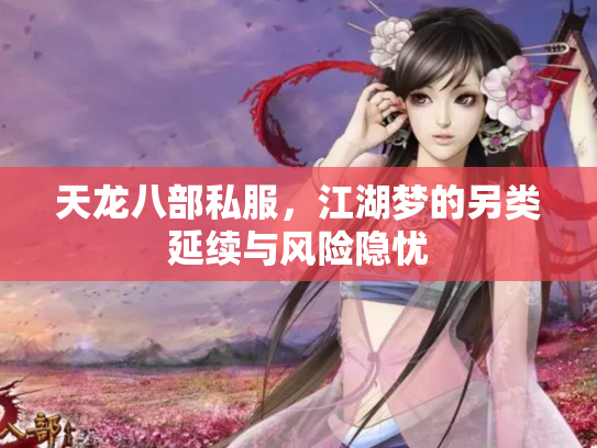 天龙八部私服，江湖梦的另类延续与风险隐忧