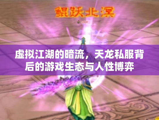 虚拟江湖的暗流，天龙私服背后的游戏生态与人性博弈