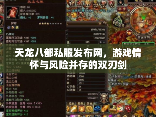 天龙八部私服发布网，游戏情怀与风险并存的双刃剑