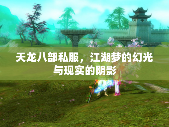 天龙八部私服，江湖梦的幻光与现实的阴影