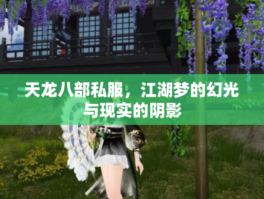 天龙八部私服，江湖梦的幻光与现实的阴影