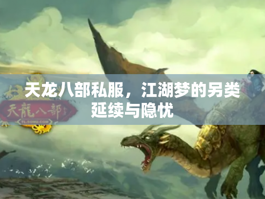 天龙八部私服，江湖梦的另类延续与隐忧