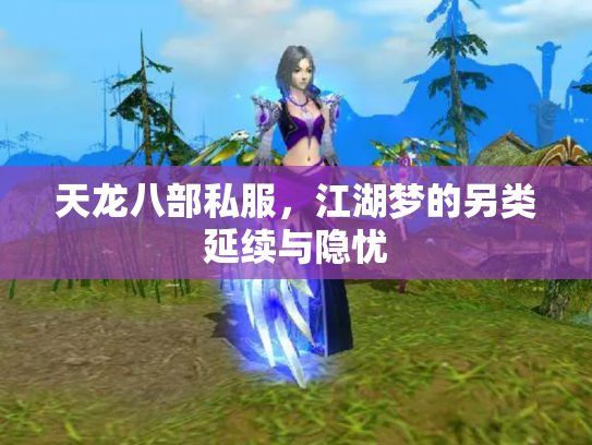 天龙八部私服，江湖梦的另类延续与隐忧