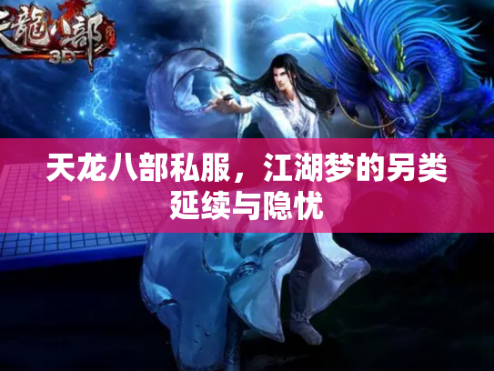 天龙八部私服，江湖梦的另类延续与隐忧
