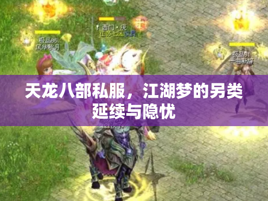 天龙八部私服，江湖梦的另类延续与隐忧