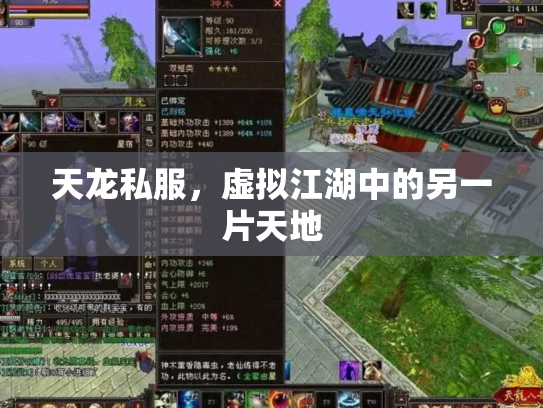 天龙私服，虚拟江湖中的另一片天地
