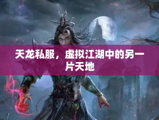 天龙私服，虚拟江湖中的另一片天地