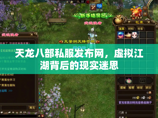 天龙八部私服发布网，虚拟江湖背后的现实迷思