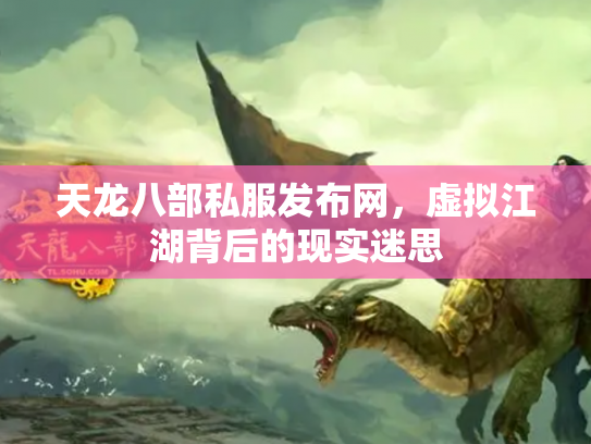 天龙八部私服发布网，虚拟江湖背后的现实迷思