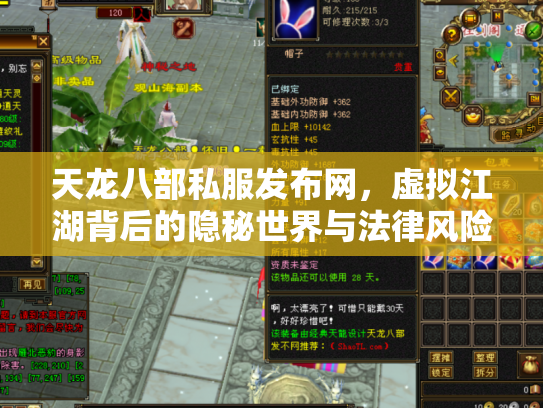 天龙八部私服发布网，虚拟江湖背后的隐秘世界与法律风险