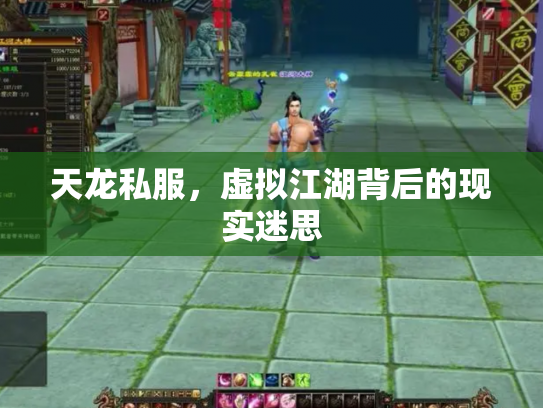 天龙私服，虚拟江湖背后的现实迷思