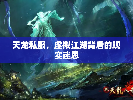 天龙私服，虚拟江湖背后的现实迷思