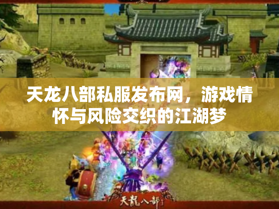 天龙八部私服发布网，游戏情怀与风险交织的江湖梦