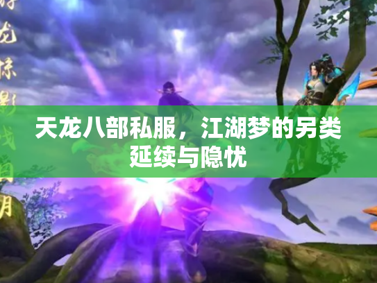 天龙八部私服，江湖梦的另类延续与隐忧