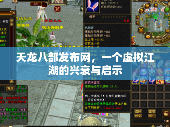 天龙八部发布网，一个虚拟江湖的兴衰与启示