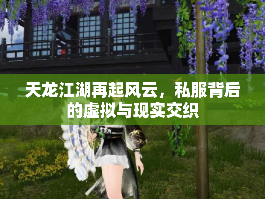 天龙江湖再起风云，私服背后的虚拟与现实交织