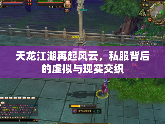 天龙江湖再起风云，私服背后的虚拟与现实交织