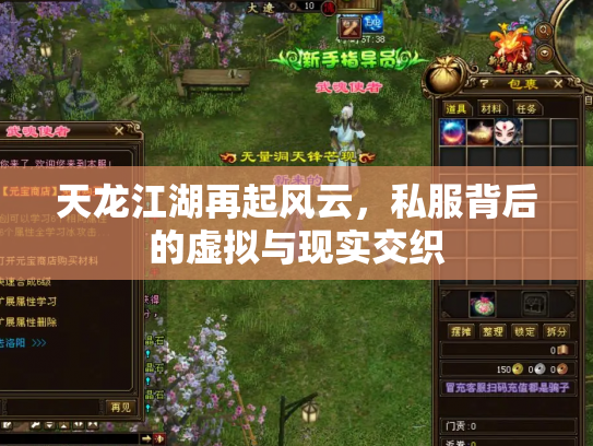 天龙江湖再起风云，私服背后的虚拟与现实交织