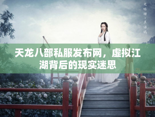 天龙八部私服发布网，虚拟江湖背后的现实迷思