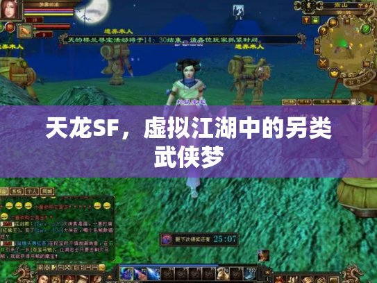天龙SF，虚拟江湖中的另类武侠梦