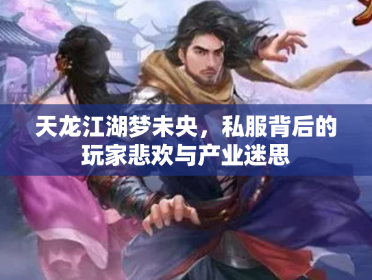 天龙江湖梦未央，私服背后的玩家悲欢与产业迷思
