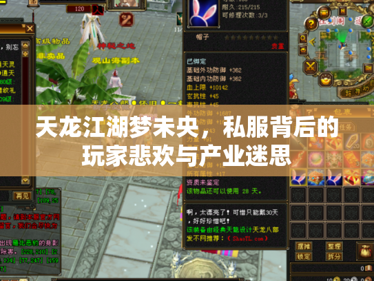 天龙江湖梦未央，私服背后的玩家悲欢与产业迷思