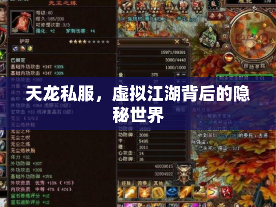 天龙私服，虚拟江湖背后的隐秘世界