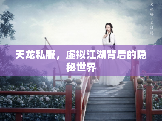 天龙私服，虚拟江湖背后的隐秘世界