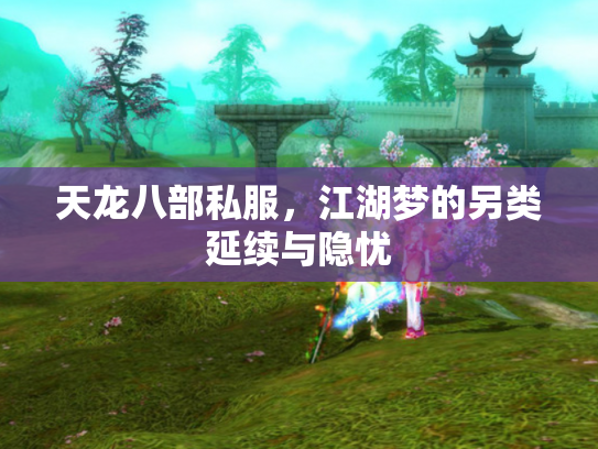 天龙八部私服，江湖梦的另类延续与隐忧