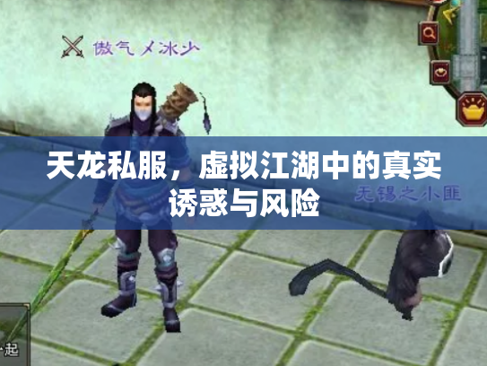 天龙私服，虚拟江湖中的真实诱惑与风险