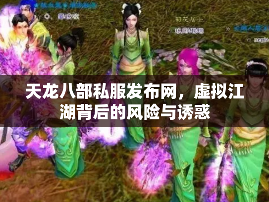 天龙八部私服发布网，虚拟江湖背后的风险与诱惑