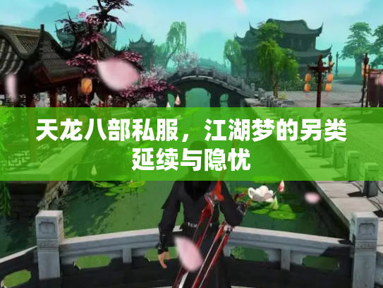天龙八部私服，江湖梦的另类延续与隐忧